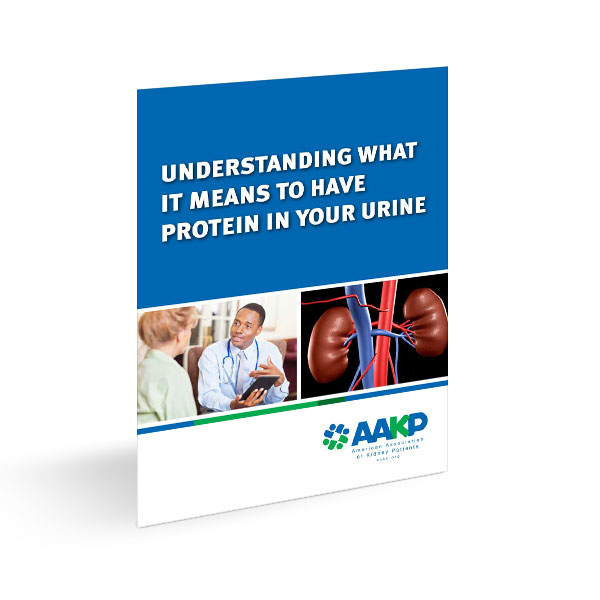 Understanding What it Means to Have Protein In Your Urine