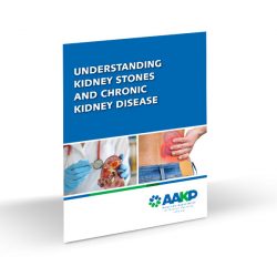 Understanding Kidney Stones And Chronic Kidney Disease