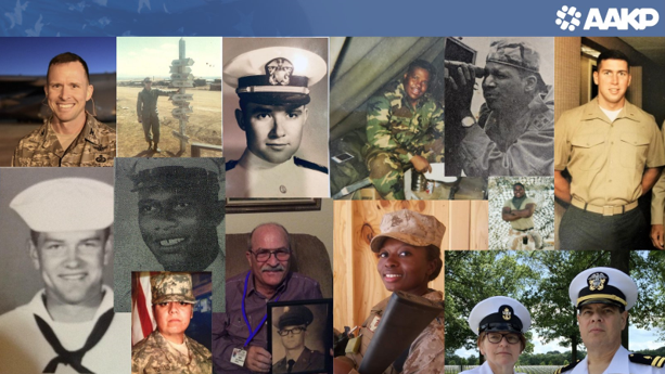 vet collage